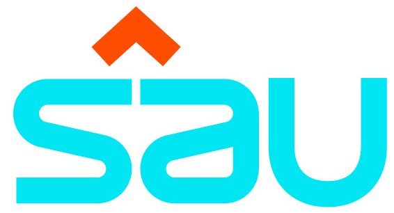 Sponsor 2